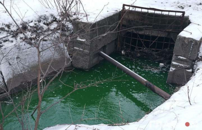 Почему позеленела река Сырец в Киеве: взяты пробы воды
