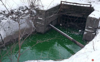 Почему позеленела река Сырец в Киеве: взяты пробы воды