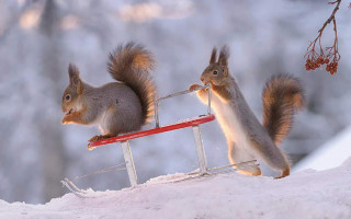 Приметы на 30 января: что нельзя делать, чтобы не отпугнуть счастье