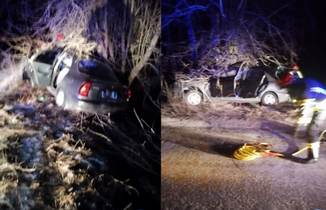 Четверо погибших, один человек в коме: на Черкасщине легковушка влетела в дерево, фото