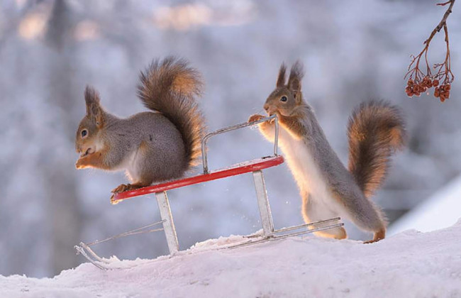 Приметы на 30 января: что нельзя делать, чтобы не отпугнуть счастье