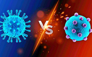 Врач рассказала, насколько «Омикрон» быстрее «Дельты»