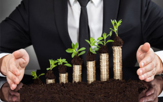 Коли ФОП повинен подавати декларацію з плати за землю: нагадування ДПС