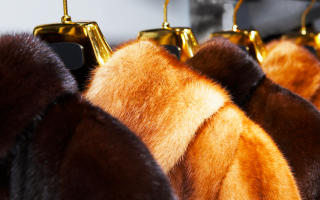 Dolce & Gabbana откажется от использования натурального меха