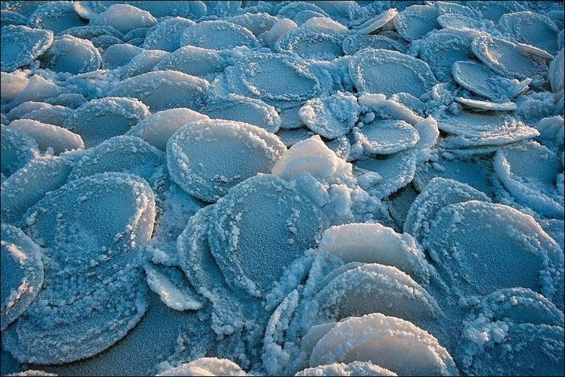 «Ледяные медузы»: в Бердянске заметили удивительное природное явление, видео