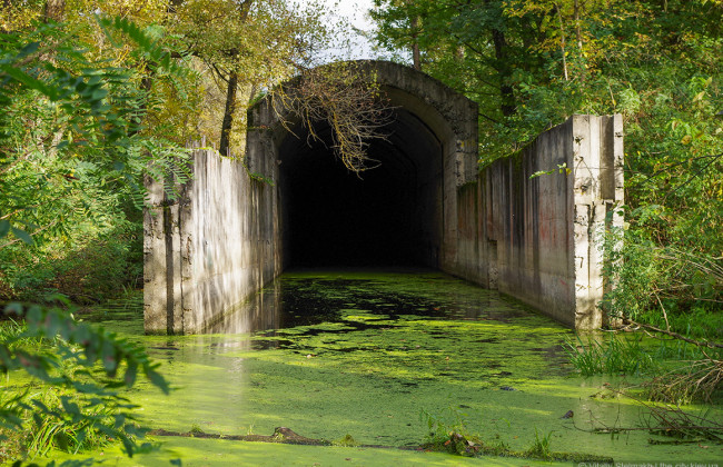 Киянам через суд повернули землі на Жуків острів, де знаходиться заповідник