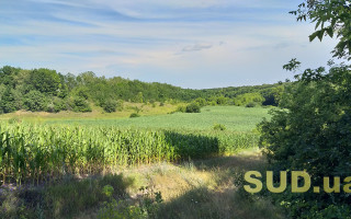 Аграрний комітет розглядає зміни до Земельного кодексу