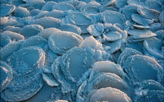 «Ледяные медузы»: в Бердянске заметили удивительное природное явление, видео