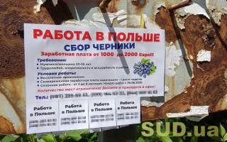 Українцям стало простіше отримати дозвіл на роботу в Польщі