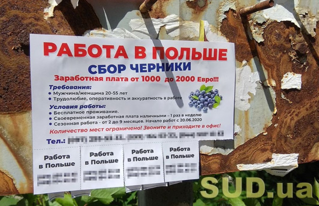 Українцям стало простіше отримати дозвіл на роботу в Польщі