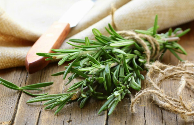 Ученые назвали растение, способное помочь в борьбе с коронавирусом