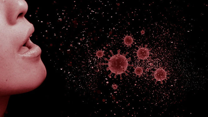 Как будут отслеживать передачу коронавируса: правила изменились