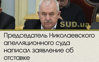 Председатель Николаевского апелляционного суда написал заявление об отставке