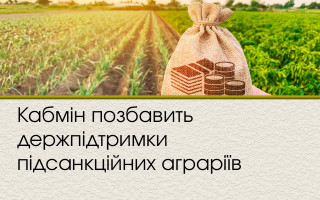 Кабмін позбавить держпідтримки підсанкційних аграріїв