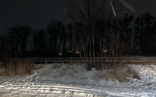 Под Киевом мужчина залез на вагон ради селфи и получил удар током