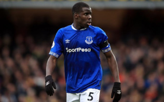 В Англии футболиста оштрафовали на £250 тысяч и отстранили от игр за то, что он пнул кота