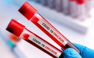 Стало известно, какой орган поражает «Омикрон» в первую очередь