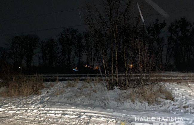 Под Киевом мужчина залез на вагон ради селфи и получил удар током