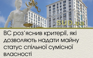ВС роз’яснив критерії, які дозволяють надати майну статус спільної сумісної власності
