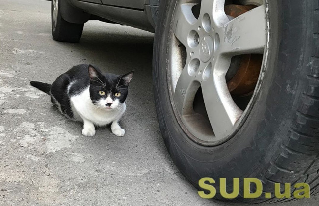 Водителям сообщили, какой срок годности шин и сколько лет их можно эксплуатировать