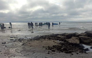 На Днепре откололась льдина на которой находилось ориентировочно до 200 рыбаков