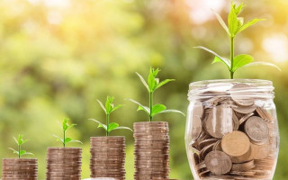 Як отримати пільгу зі сплати плати за землю та податку на нерухомість