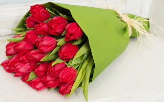 Какие цветы не стоит дарить на День святого Валентина