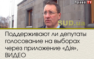 Поддерживают ли депутаты голосование на выборах через приложение «Дія», ВИДЕО