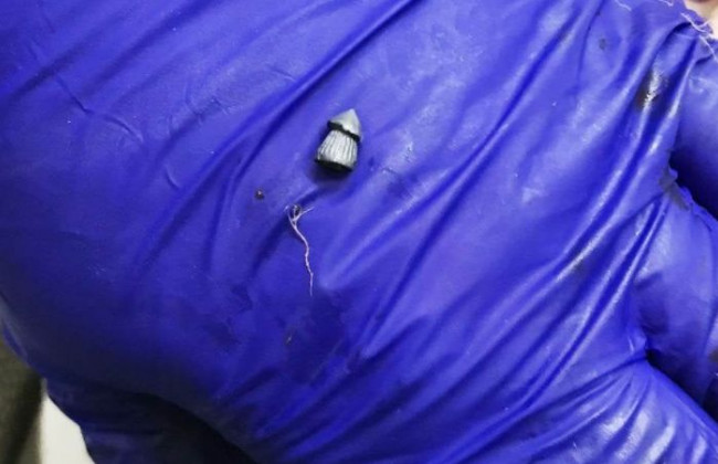 Подстрелили: назвали причину смерти лебедя из парка «Наталка»