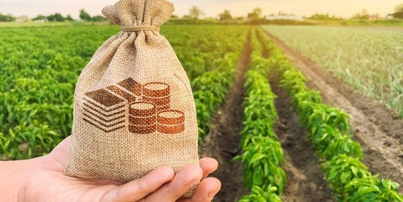 Уряд створив Фонд часткового гарантування кредитів у сільському господарстві