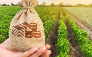 Уряд створив Фонд часткового гарантування кредитів у сільському господарстві