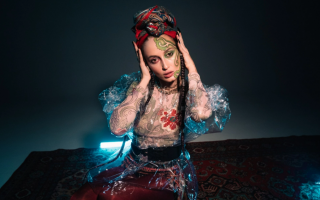 Прикордонники не мають інформації про довідку Аліни Паш, яку вона представила – Суспільне