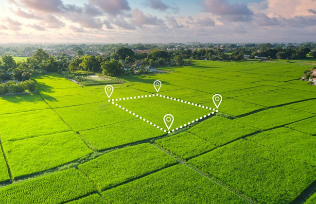 Как будет определяться размер ущерба использования земельных участков не по целевому назначению