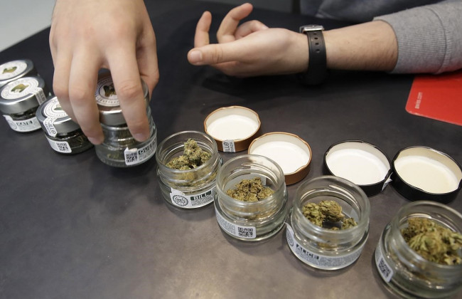 Верховный суд Италии заблокировал референдум о легализации выращивания каннабиса