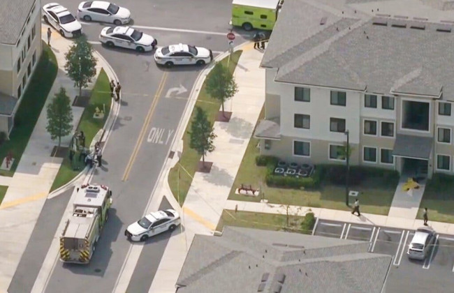 В США женщина получила антиковидные выплаты и потратила их на киллера