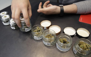 Верховный суд Италии заблокировал референдум о легализации выращивания каннабиса