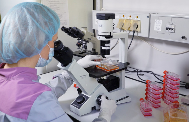 Рада схвалила податкові пільги на імпорт техніки і обладнання для наукової діяльності