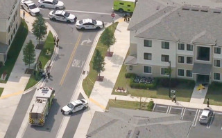 В США женщина получила антиковидные выплаты и потратила их на киллера