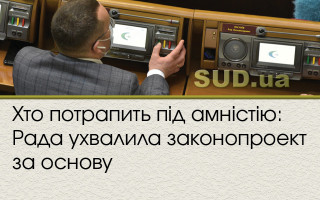 Хто потрапить під амністію: Рада ухвалила законопроект за основу