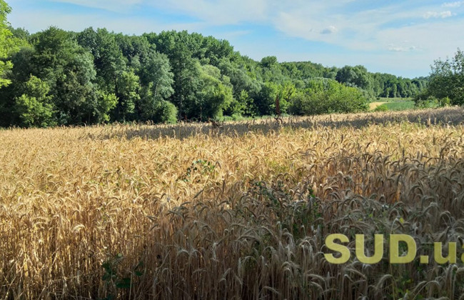 Який алгоритм зміни цільового призначення земельної ділянки