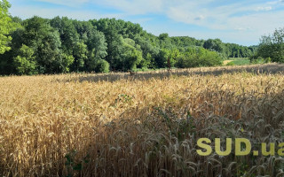 Який алгоритм зміни цільового призначення земельної ділянки