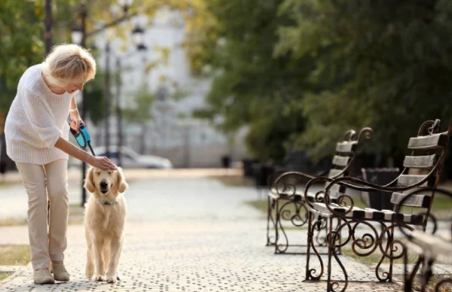 Какой стаж нужно иметь, чтобы выйти на пенсию в 60 лет