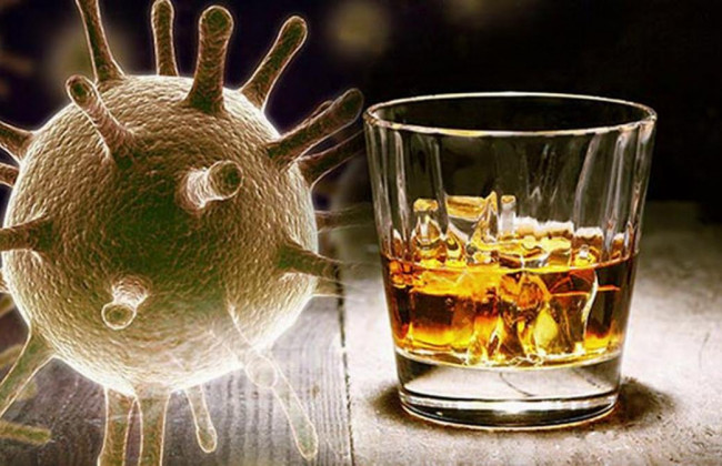 Как алкоголь помогает коронавирусу проникать в легкие: исследование