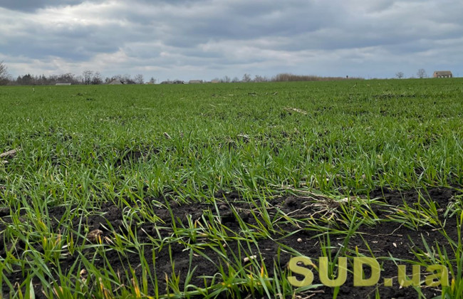 Практика розгляду господарськими судами спорів, що виникають із земельних відносин