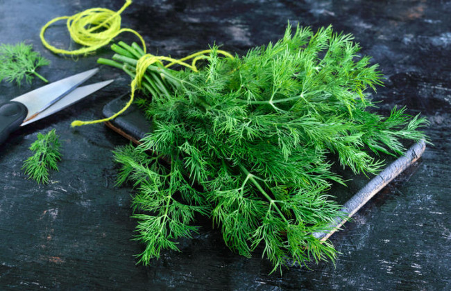 Почти 50 гривен за пучок: в Украине рекордно подорожал укроп