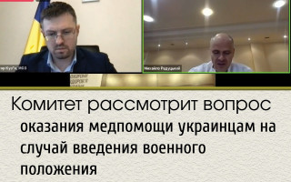 Комитет рассмотрит вопрос оказания медпомощи украинцам на случай введения военного положения