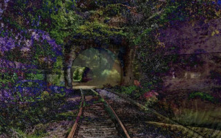 В США решили, что искусственный интеллект не может получить авторские права на свои работы