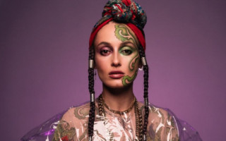 Полиция открыла производство в отношении певицы Алины Паш