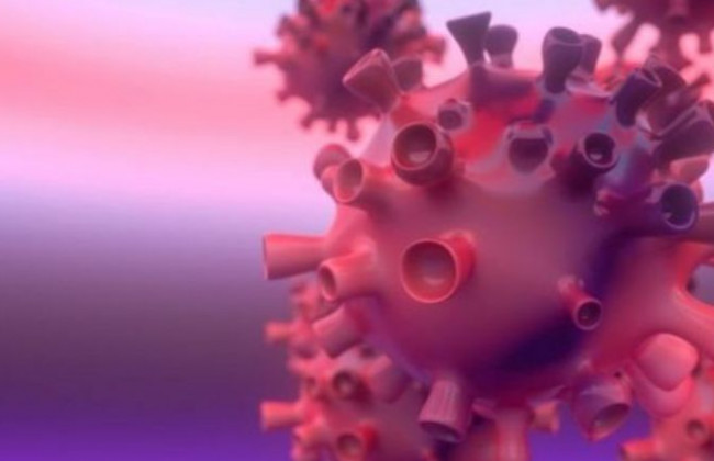 Врач сообщила об инкубационном периоде штамма «Омикрон»