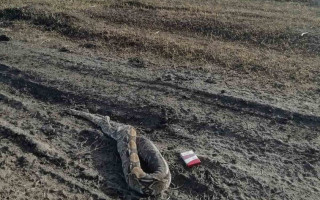 В Павлограде выбросили мертвого удава: рептилию обнаружили посреди дороги, фото